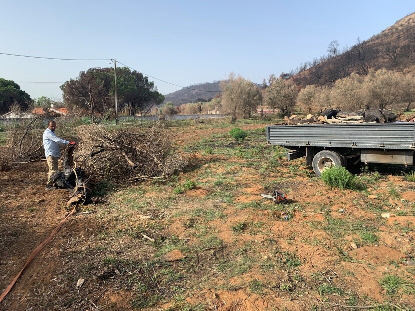 Comunicado – Reportagem TVI “Vamos tornar Palmela verde de novo”