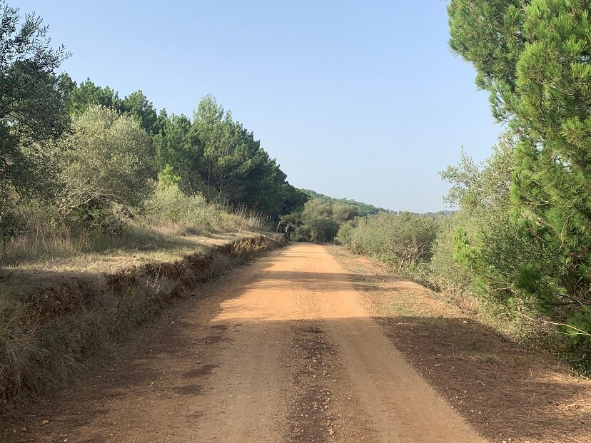 Comunicado – Reportagem TVI “Vamos tornar Palmela verde de novo”