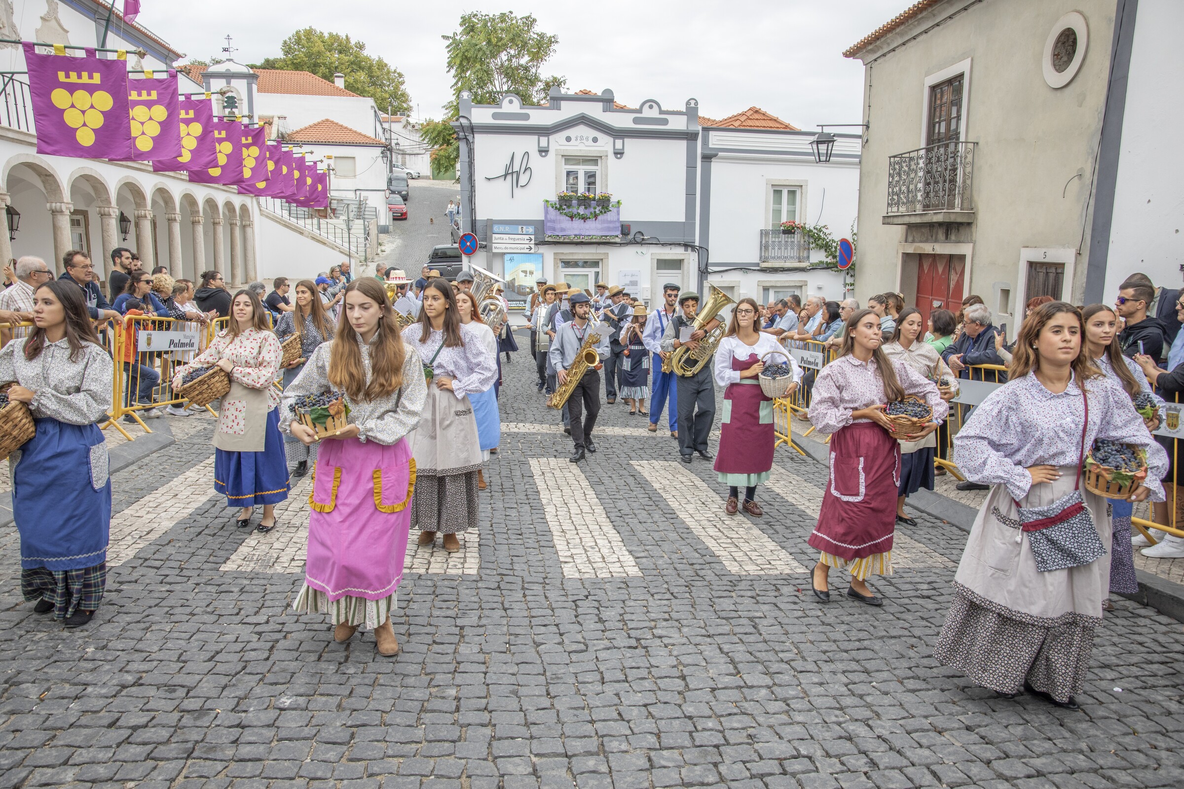Festa das Vindimas: milhares de visitantes na edição dos 60 anos
