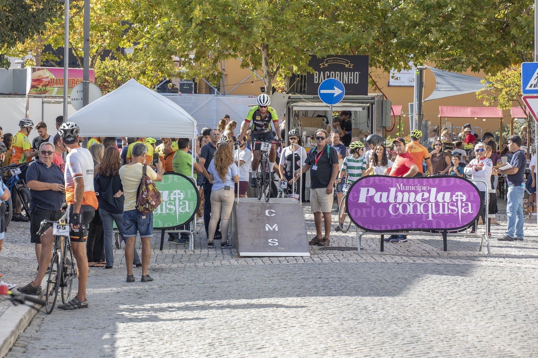 Festa das Vindimas: milhares de visitantes na edição dos 60 anos