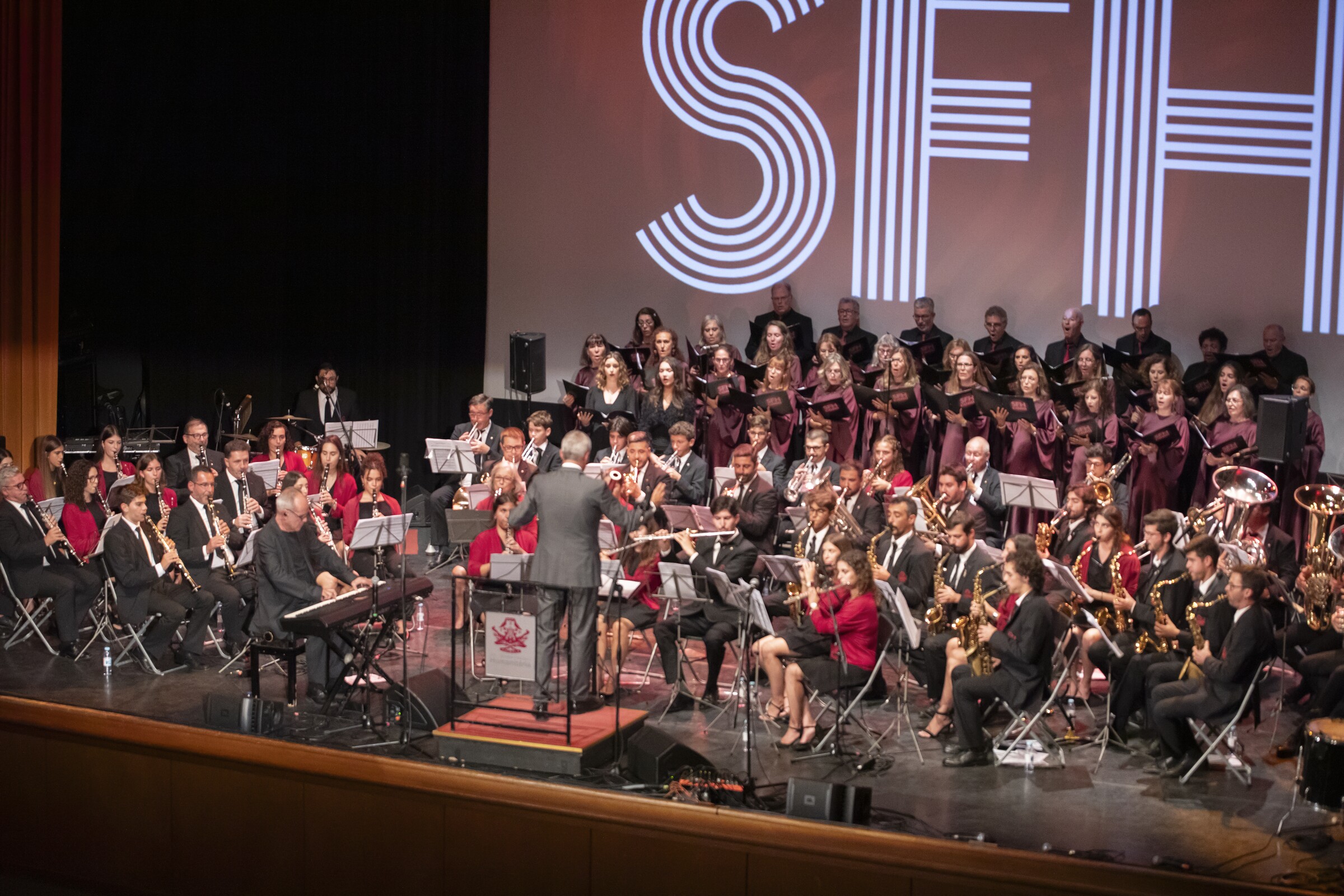 Festa das Vindimas: milhares de visitantes na edição dos 60 anos