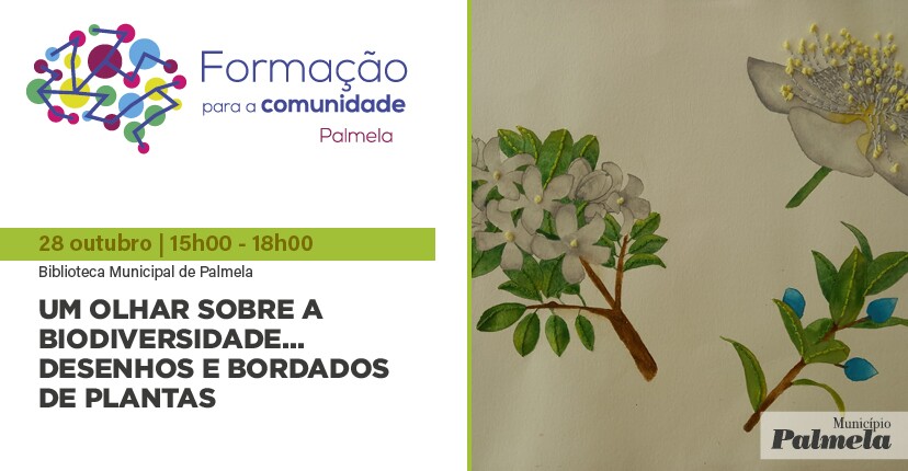 fc_info_ba_noticia_828x430px4