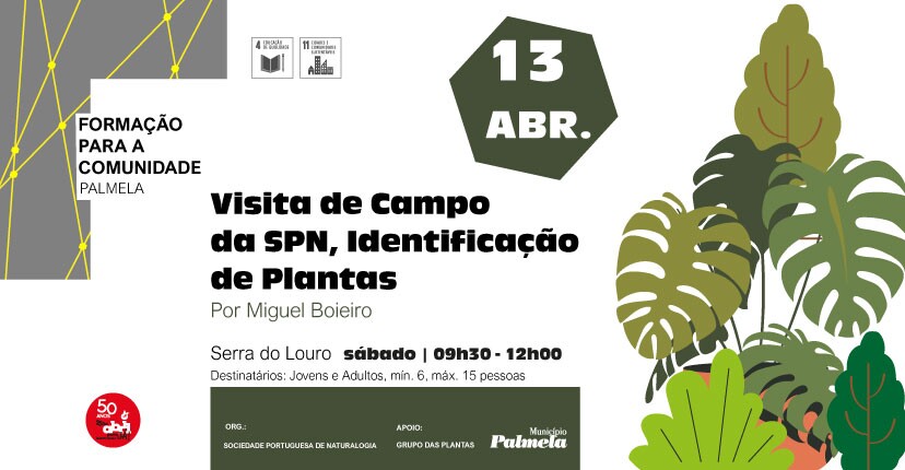 identificacao_de_plantas_828x430