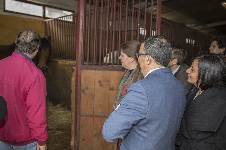 Visita à Coudelaria Dorso Lusitano. 