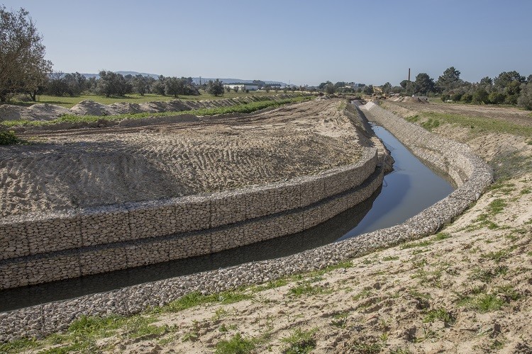 Regularização da Ribeira da Salgueirinha. 