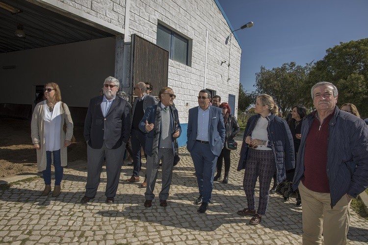 Visita ao Centro Hípico Quinta do Rei. 