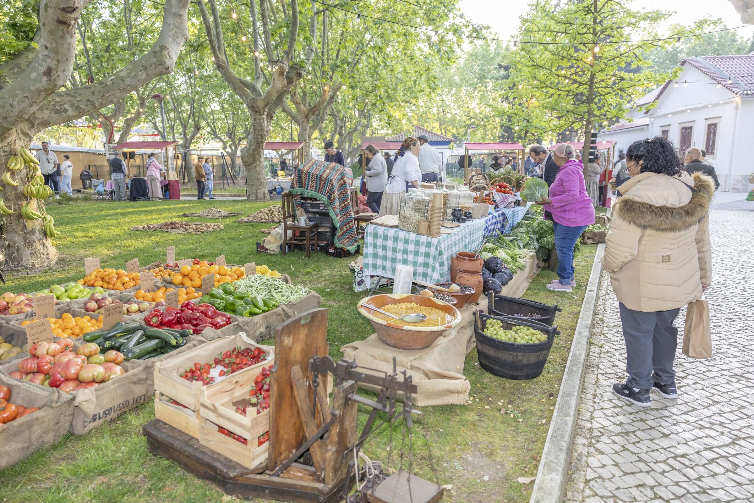 10 Anos de Mercado Caramelo