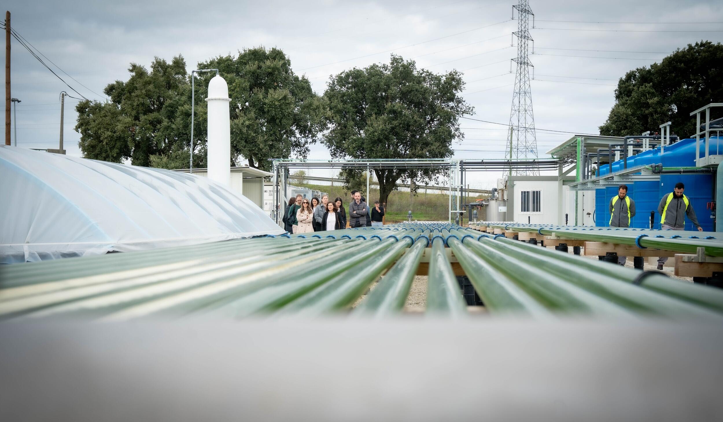 54935275583_772ec455d7_o