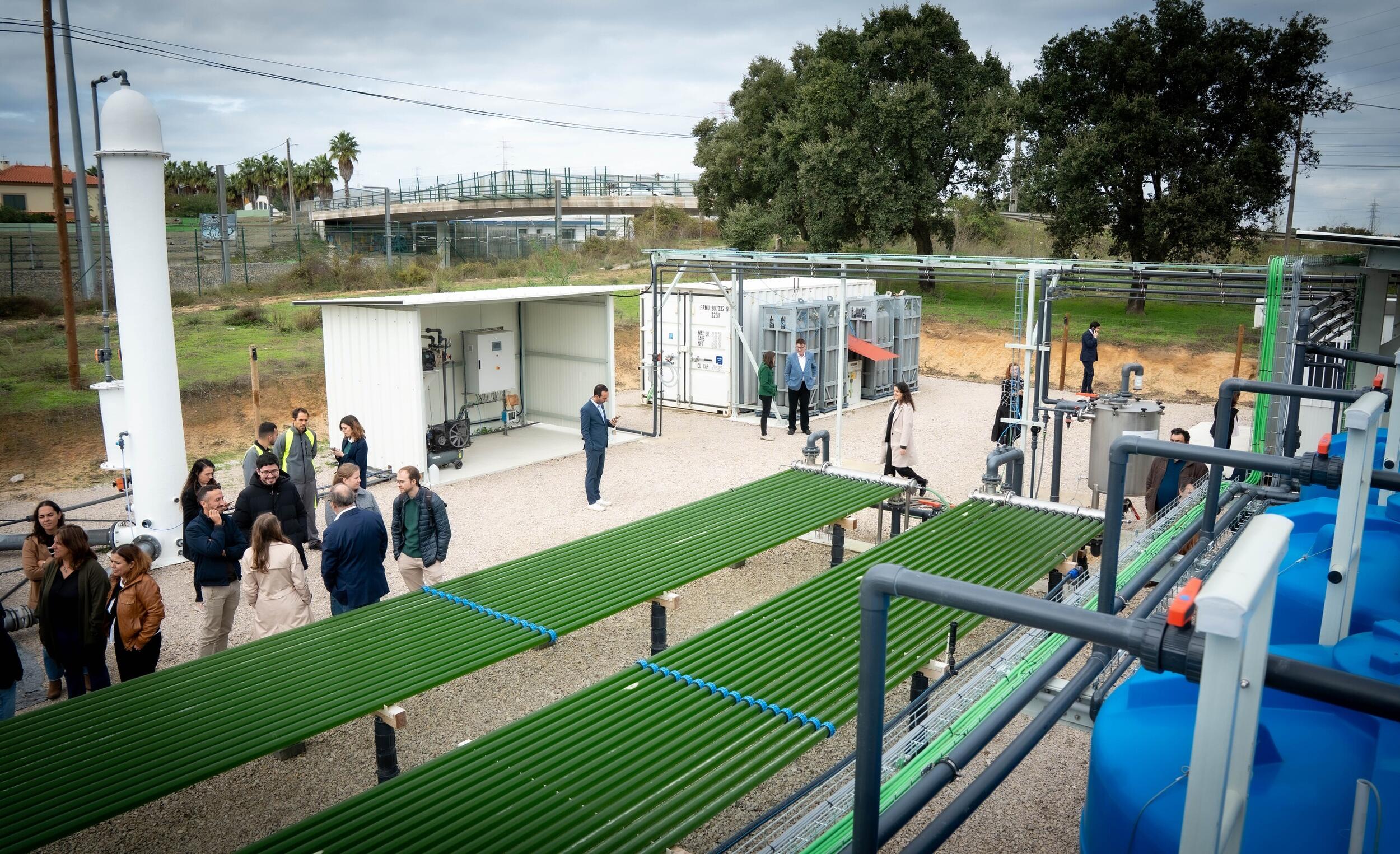 54934192647_95d48c5a2d_o