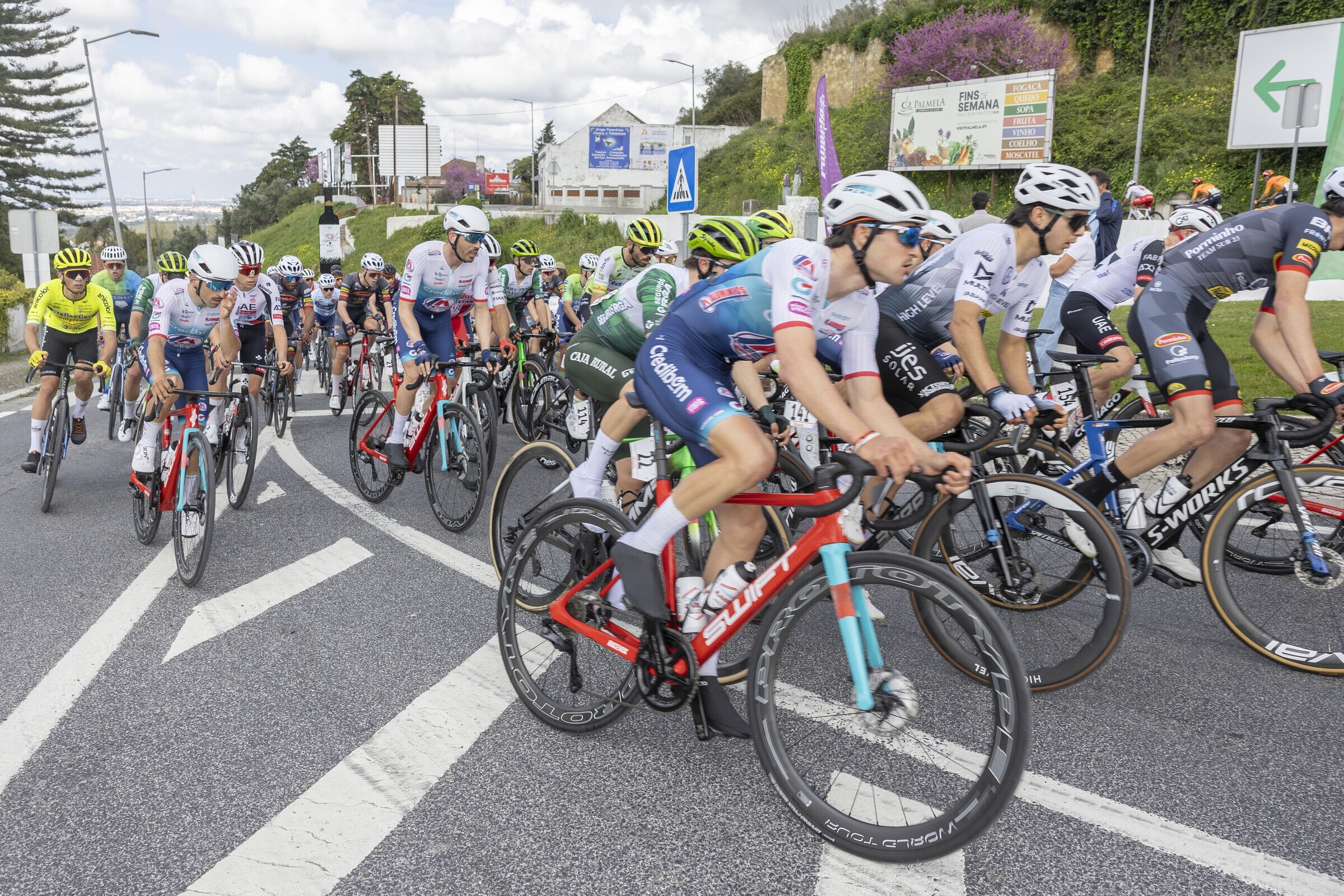 trofeu_internacional_arrabida_paf_palmela20260322_037