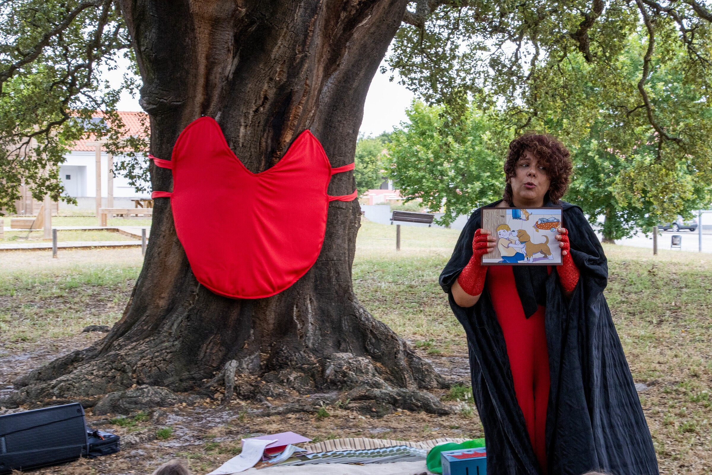 apresentacao_do_livro_no_coracao_da_arvoreimg_4435_low