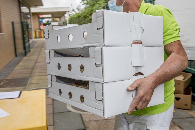 Entrega de cabazes no âmbito do projeto Cabaz Solidário Saudável.