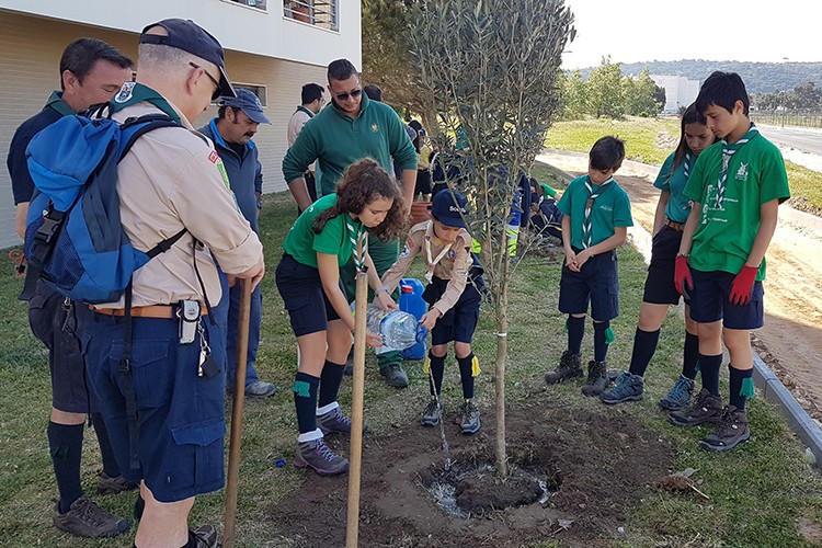 Plantação de árvores junto à ciclovia em Quinta do Anjo. 