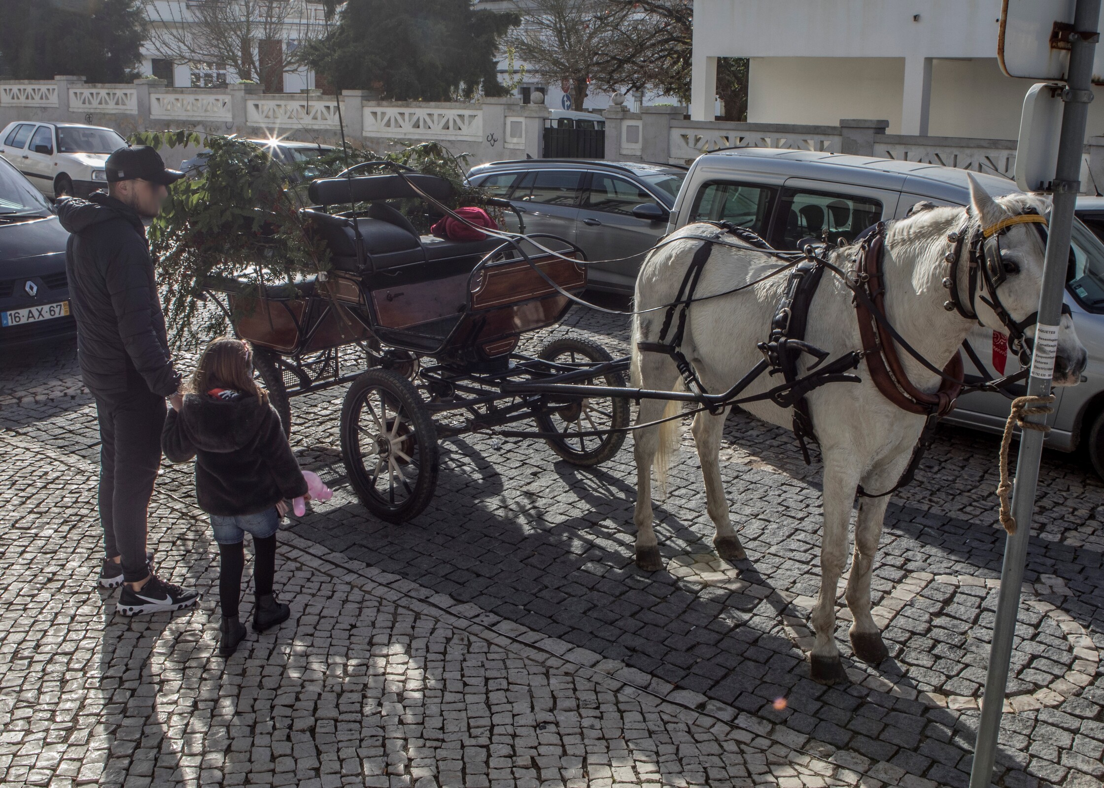 PASSEIOS DE CHARRETE NA VILA DE PALMELA - ESGOTADO!