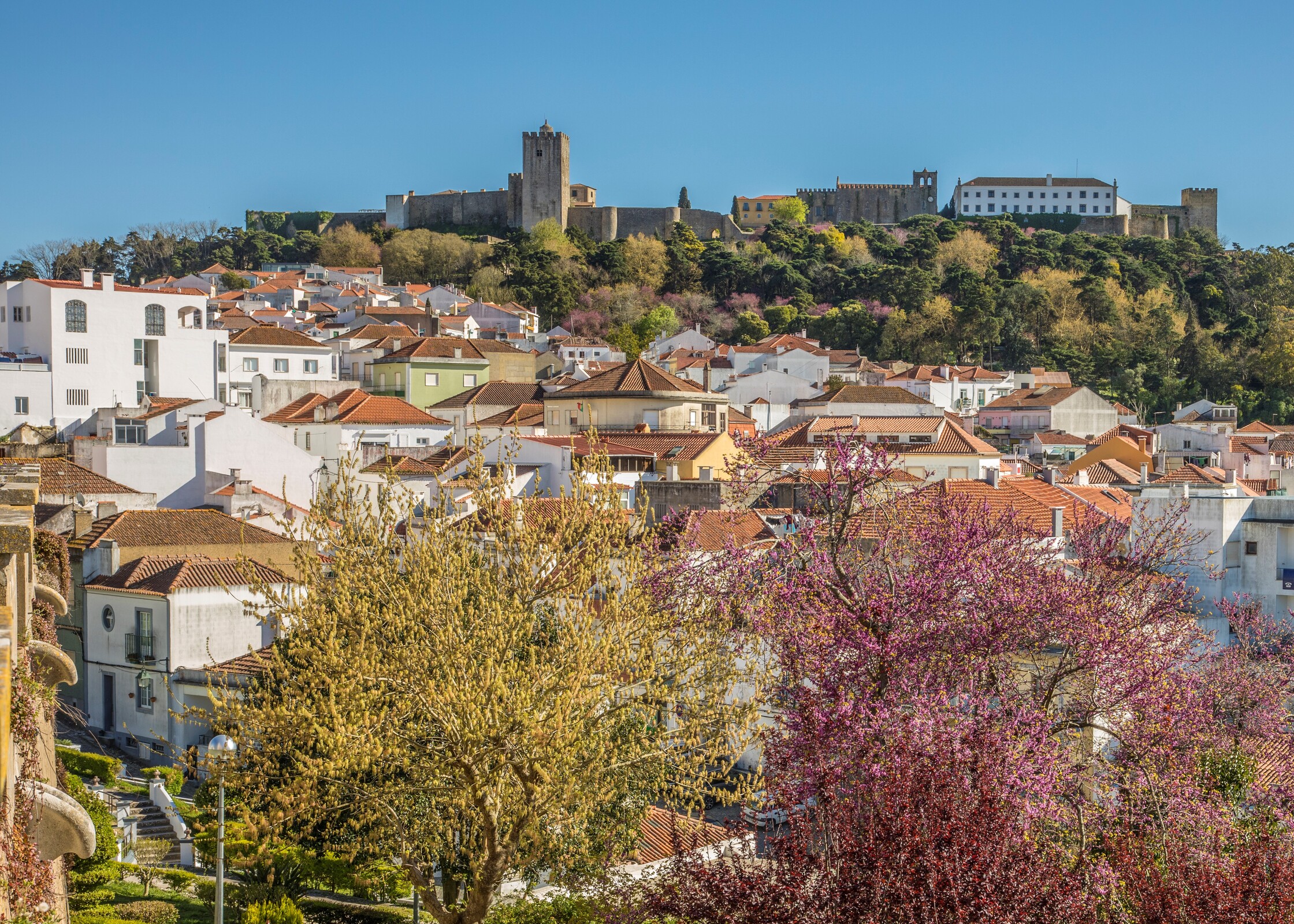VISITA GUIADA CENTRO HISTÓRICO E CASTELO DE PALMELA