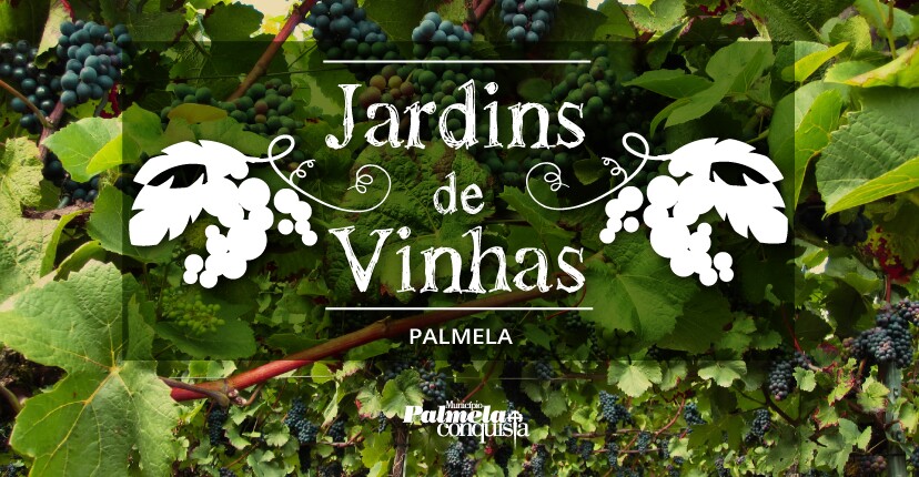 JARDINS DE VINHAS: CRUZEIRO - PASSEIO PEDESTRE OU PIQUENIQUE NA VINHA