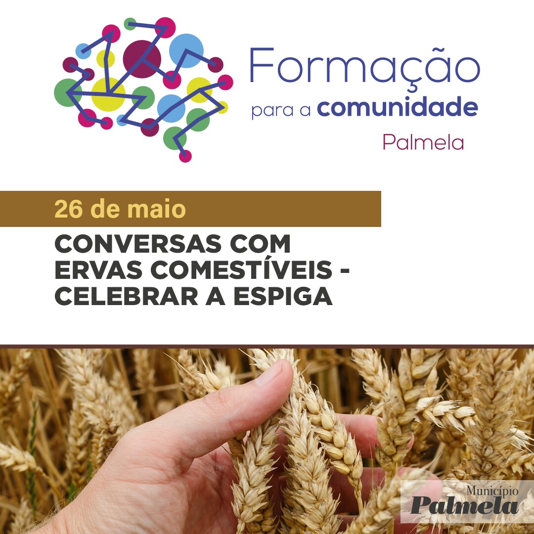 FORMAÇÃO PARA A COMUNIDADE: Conversas com Ervas comestíveis- Celebrar a Espiga