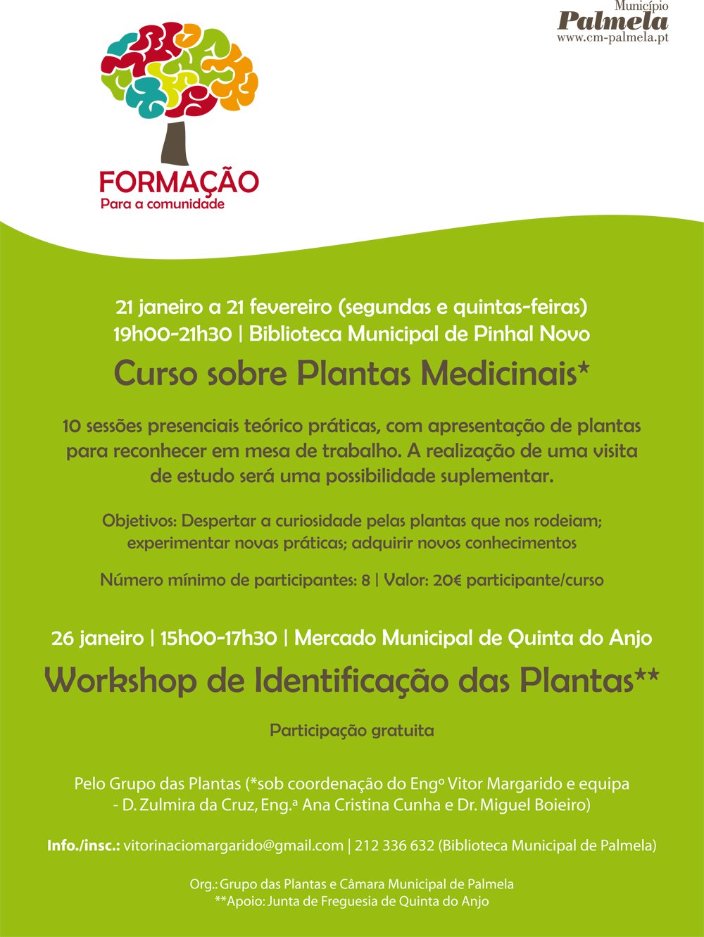 CURSO PLANTAS MEDICINAIS / WORKSHOP IDENTIFICAÇÃO DE PLANTAS