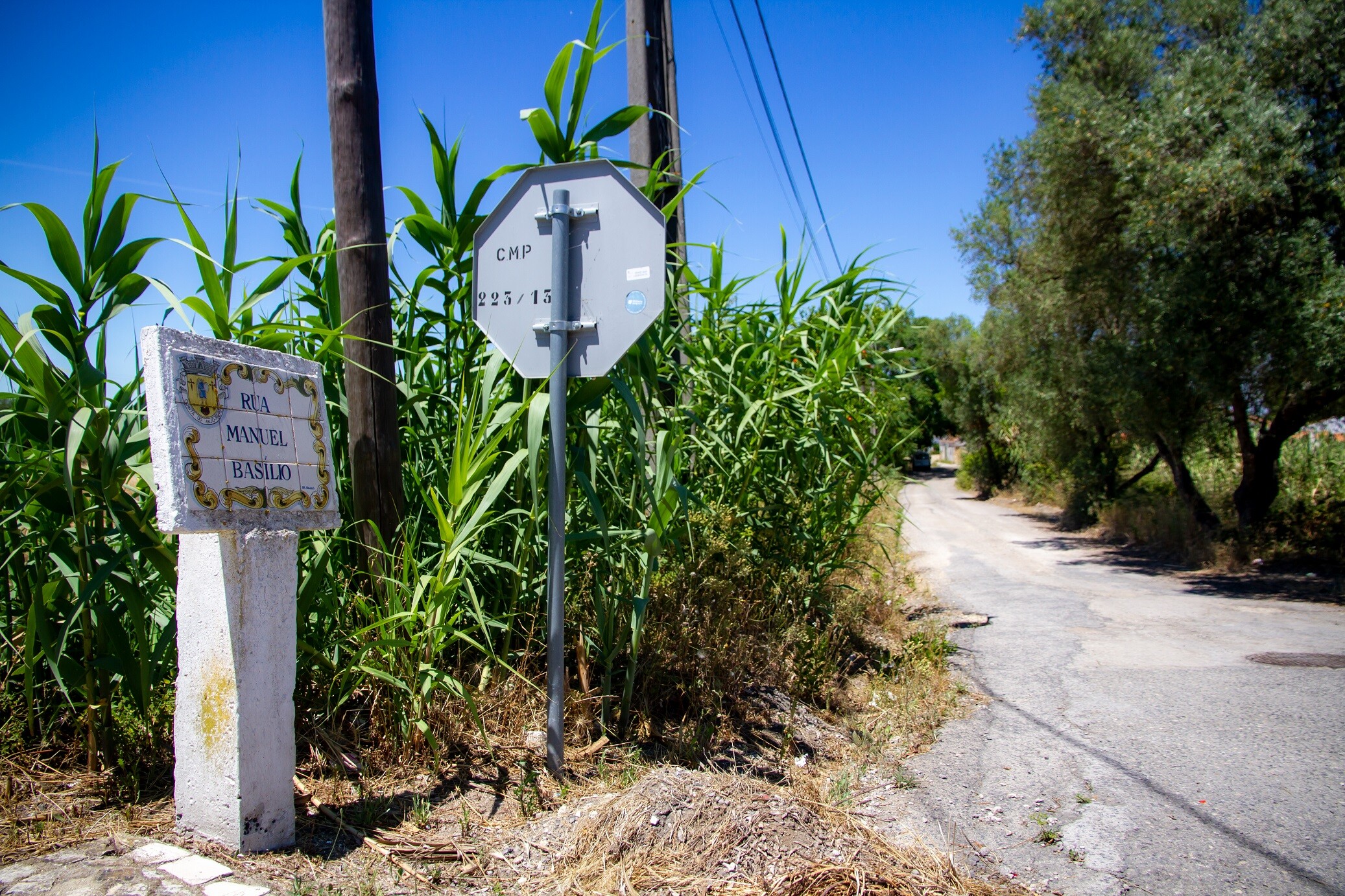 Adjudicada pavimentação da Rua Manuel Basílio/João Petrónio - Cabanas