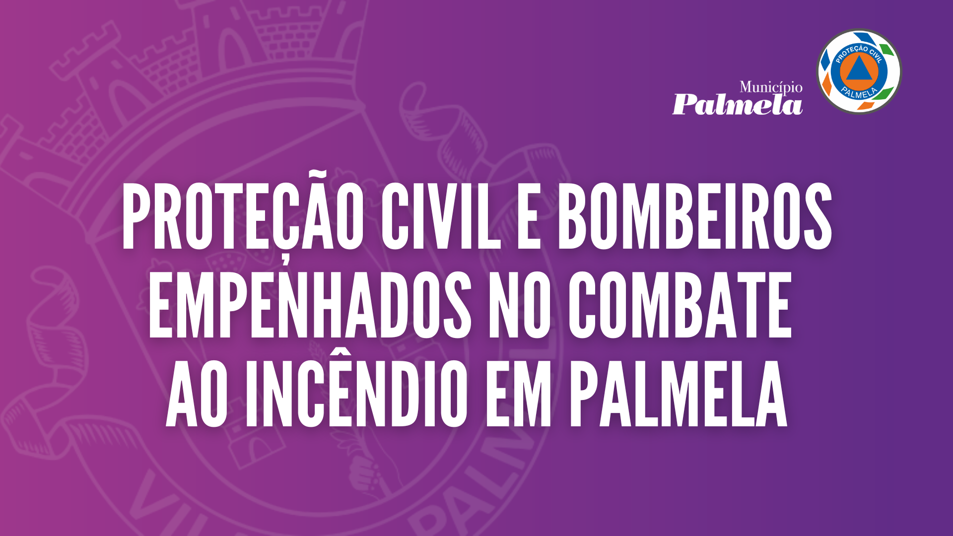 Proteção Civil e Bombeiros empenhados no combate ao incêndio em Palmela