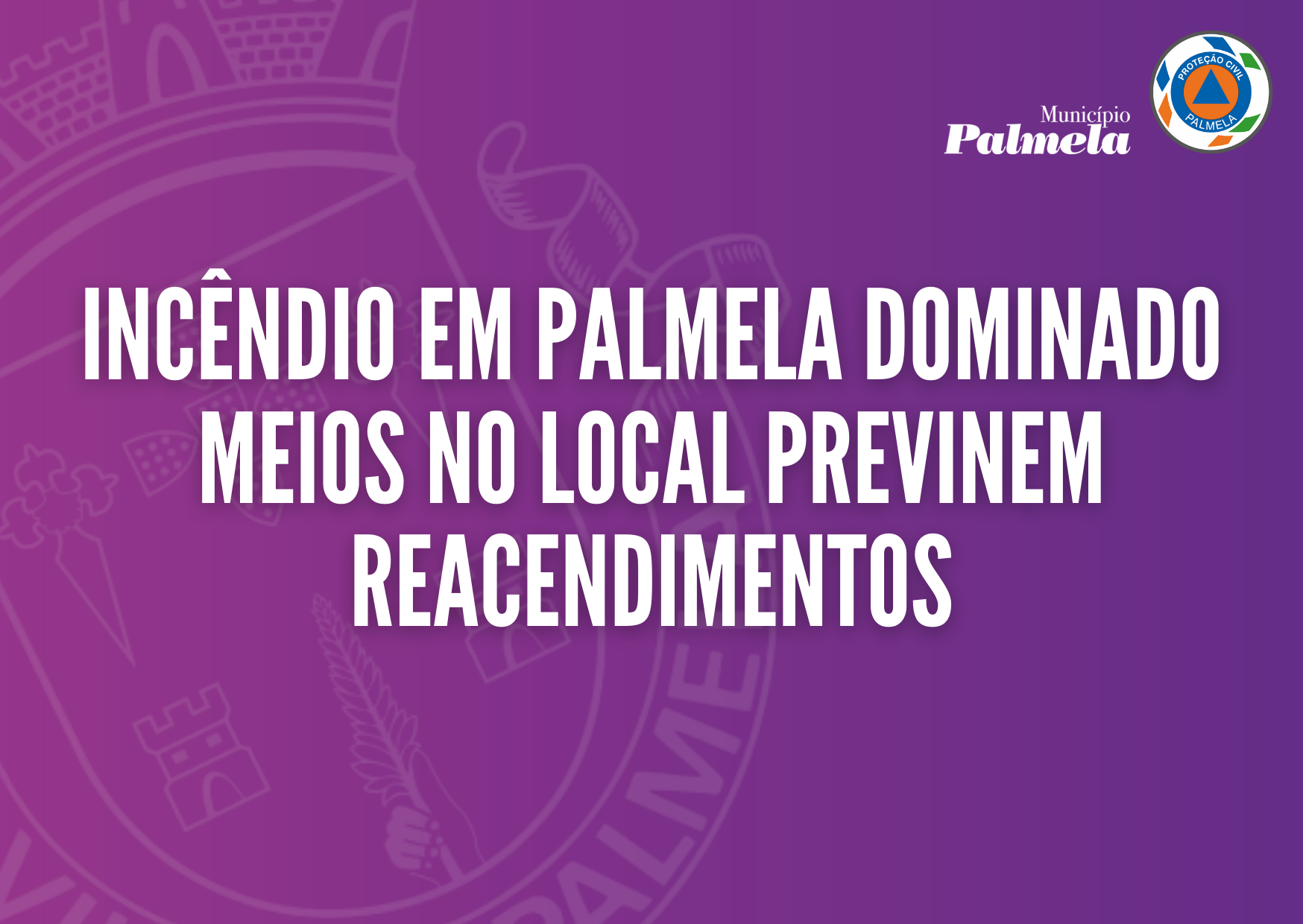 Incêndio em Palmela dominado - meios no local previnem reacendimentos