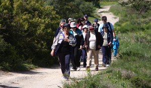 Mexa-se em Palmela: Celebre a chegada da Primavera com exercício ao ar livre 