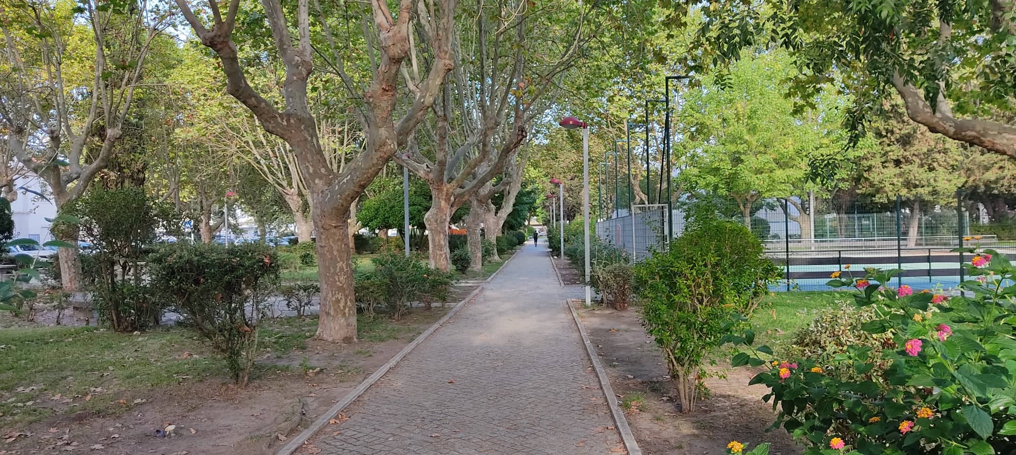 2.ª fase do Jardim José Maria dos Santos em concurso 