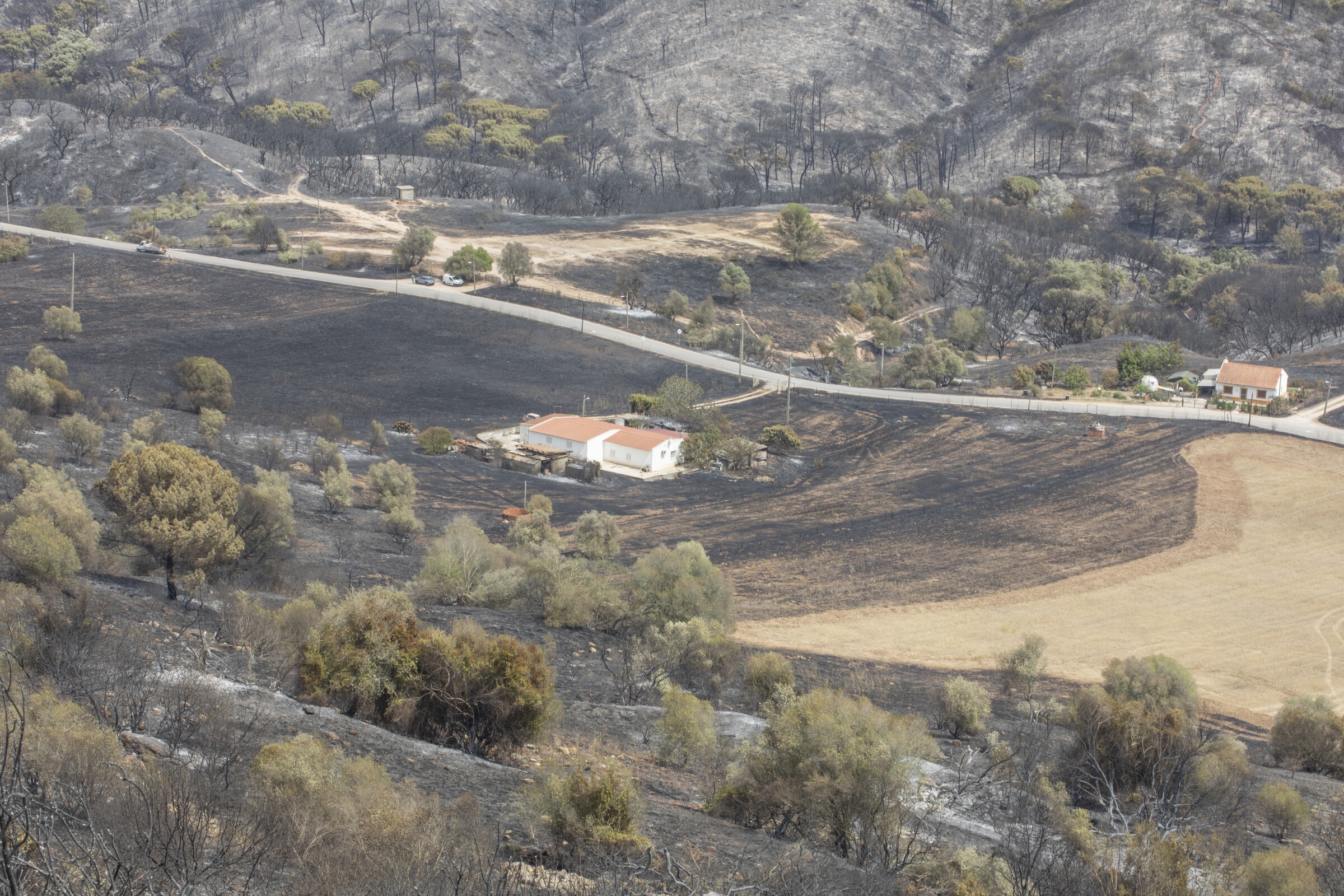 Apoios para atividade agrícola afetada pelo incêndio de 13 julho