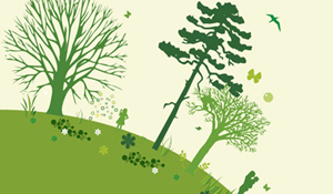 Comemorações do Ano Internacional das Florestas e Dia Mundial da Árvore com mais de quatro centen...