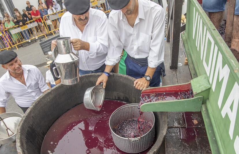 Saudação à 59.ª Festa das Vindimas