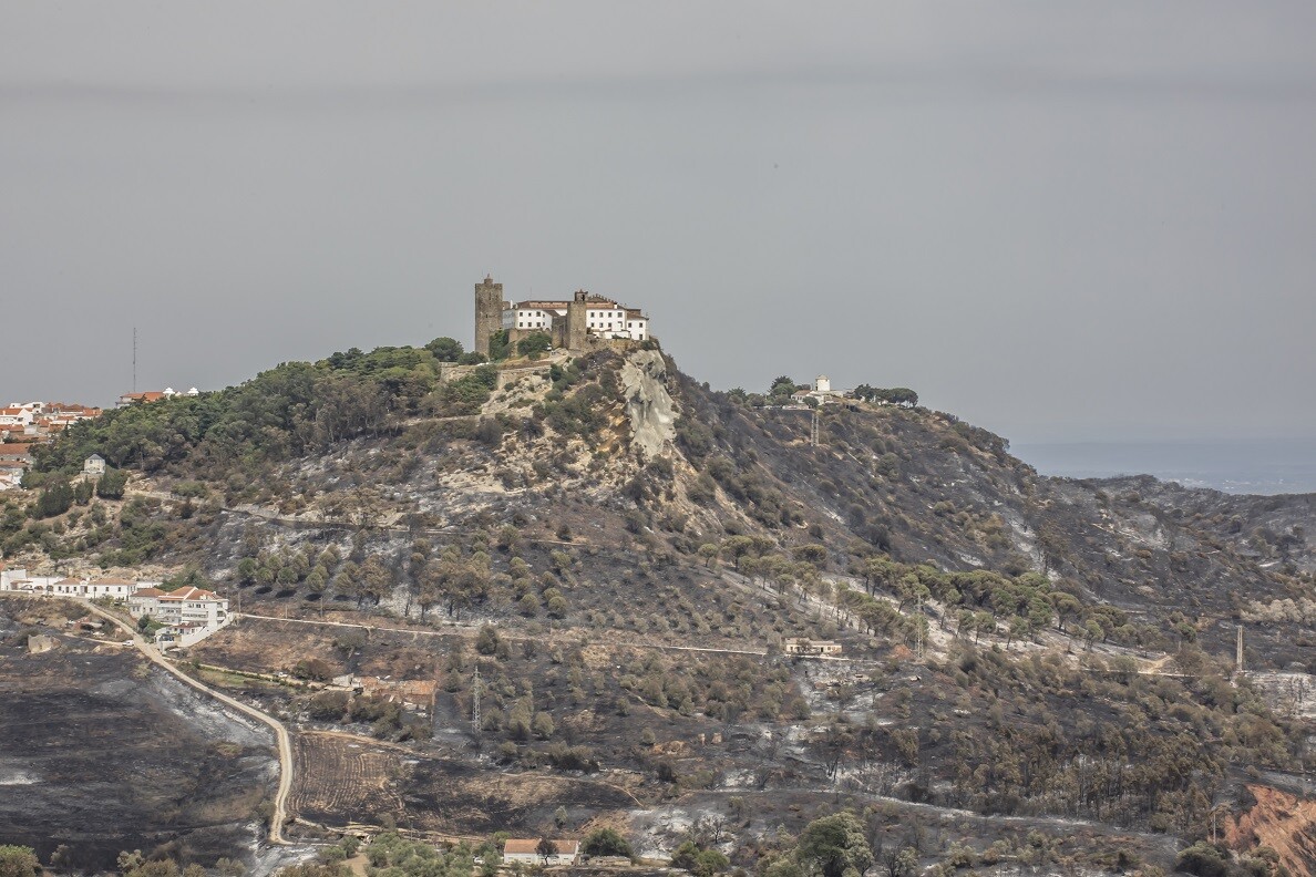 Incêndio de Palmela - Município reúne com população, ICNF e especialistas a 17 de setembro