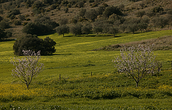 Delimitação da REN do Município alterada 