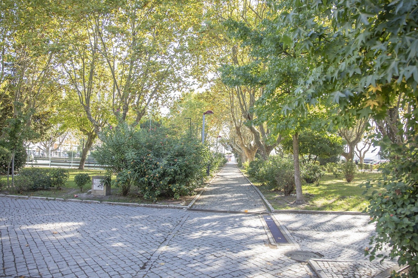 Pinhal Novo/Jardim José Maria dos Santos - Adjudicada 2.ª fase de beneficiação 