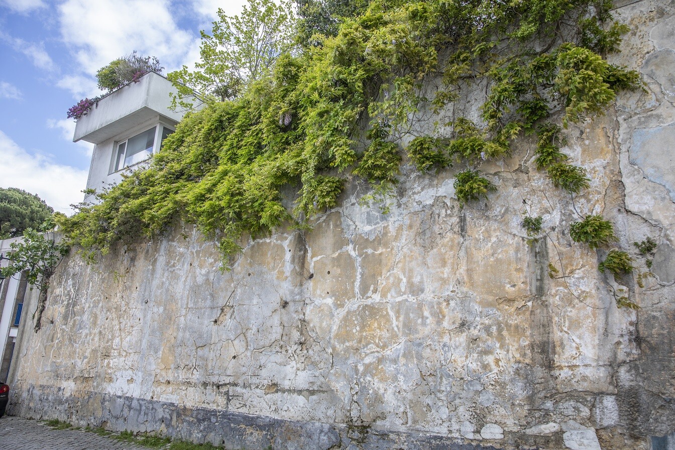 Adjudicada Reabilitação de muro no Centro Histórico de Palmela