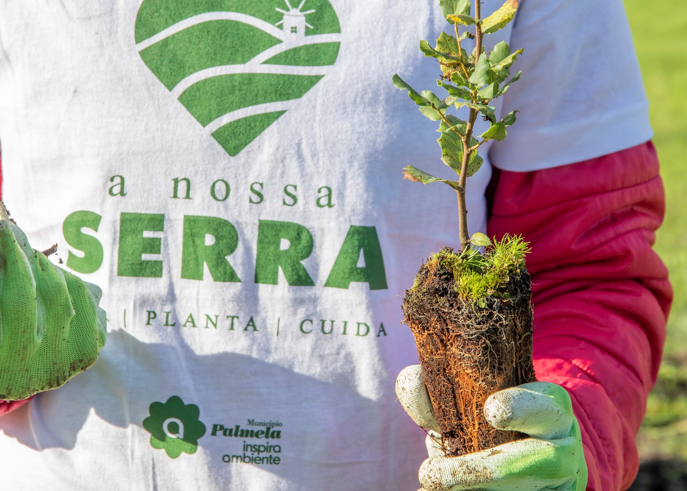 Reflorestação uniu comunidade no amor à “nossa serra” – veja o vídeo aqui!