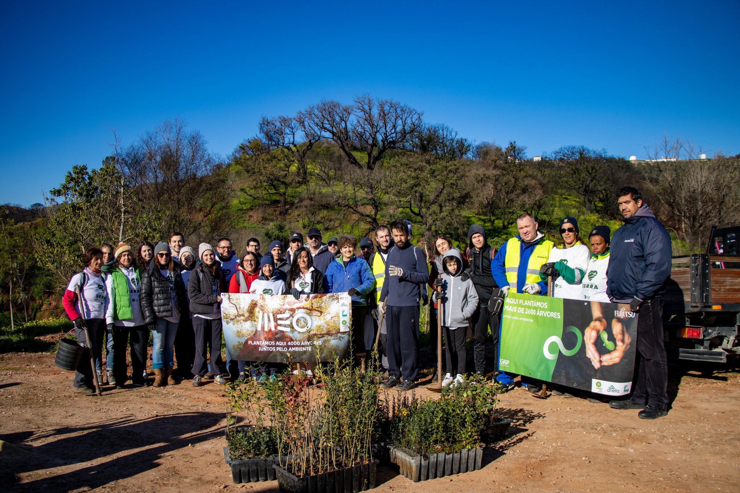 “A Nossa Serra - Ama. Planta. Cuida”: 60 voluntárias/os plantaram 500 árvores