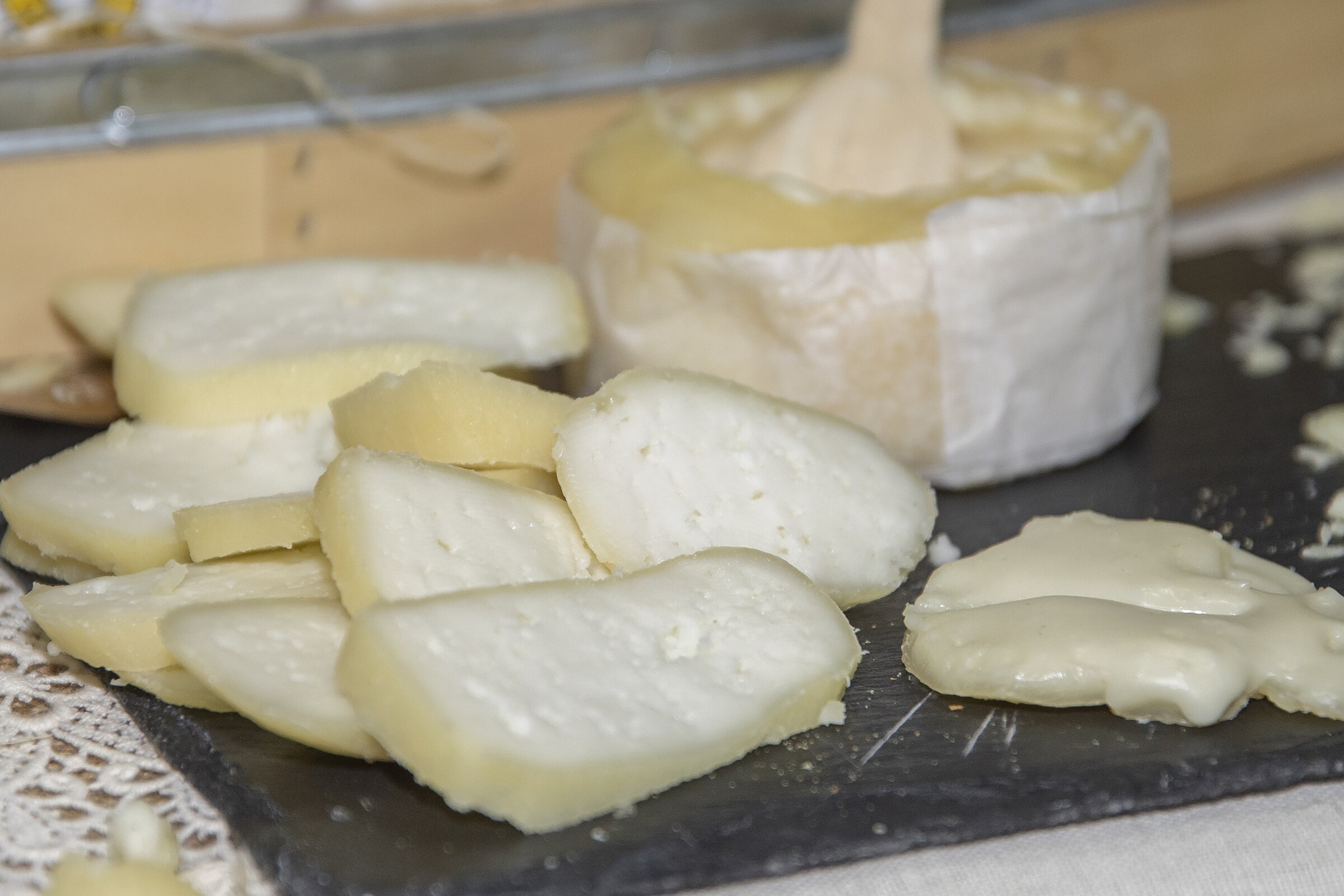 Queijo de Azeitão produzido em Palmela entre os 50 melhores queijos do mundo