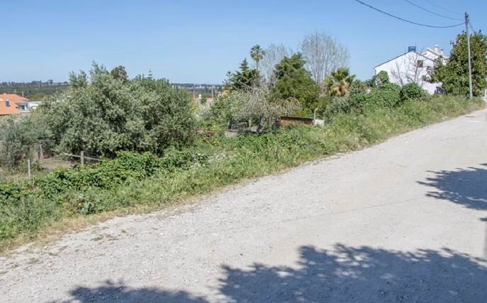 Muro de contenção R. Manuel Cândido Diogo/Cabanas - Projeto aprovado