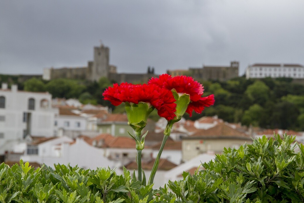 Comemorações dos 50 anos do 25 de Abril Instituições e personalidades locais integram Comissão de...