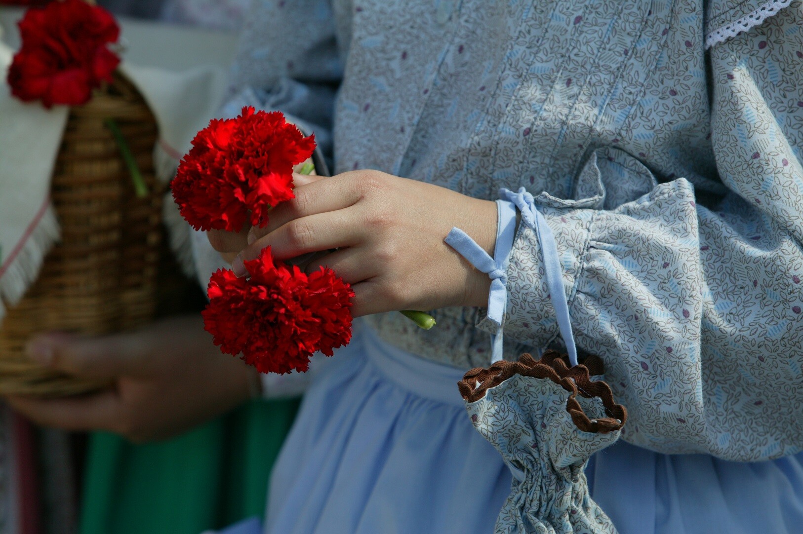 25 de Abril, 1.º de Maio e Constituição da República  - Saudações