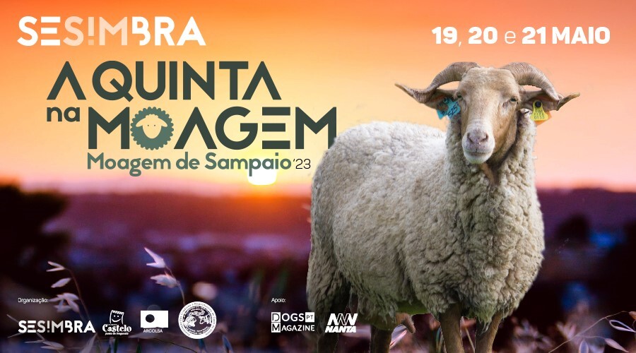 “A Quinta na Moagem”: Palmela promove eventos e produtos locais em Sesimbra