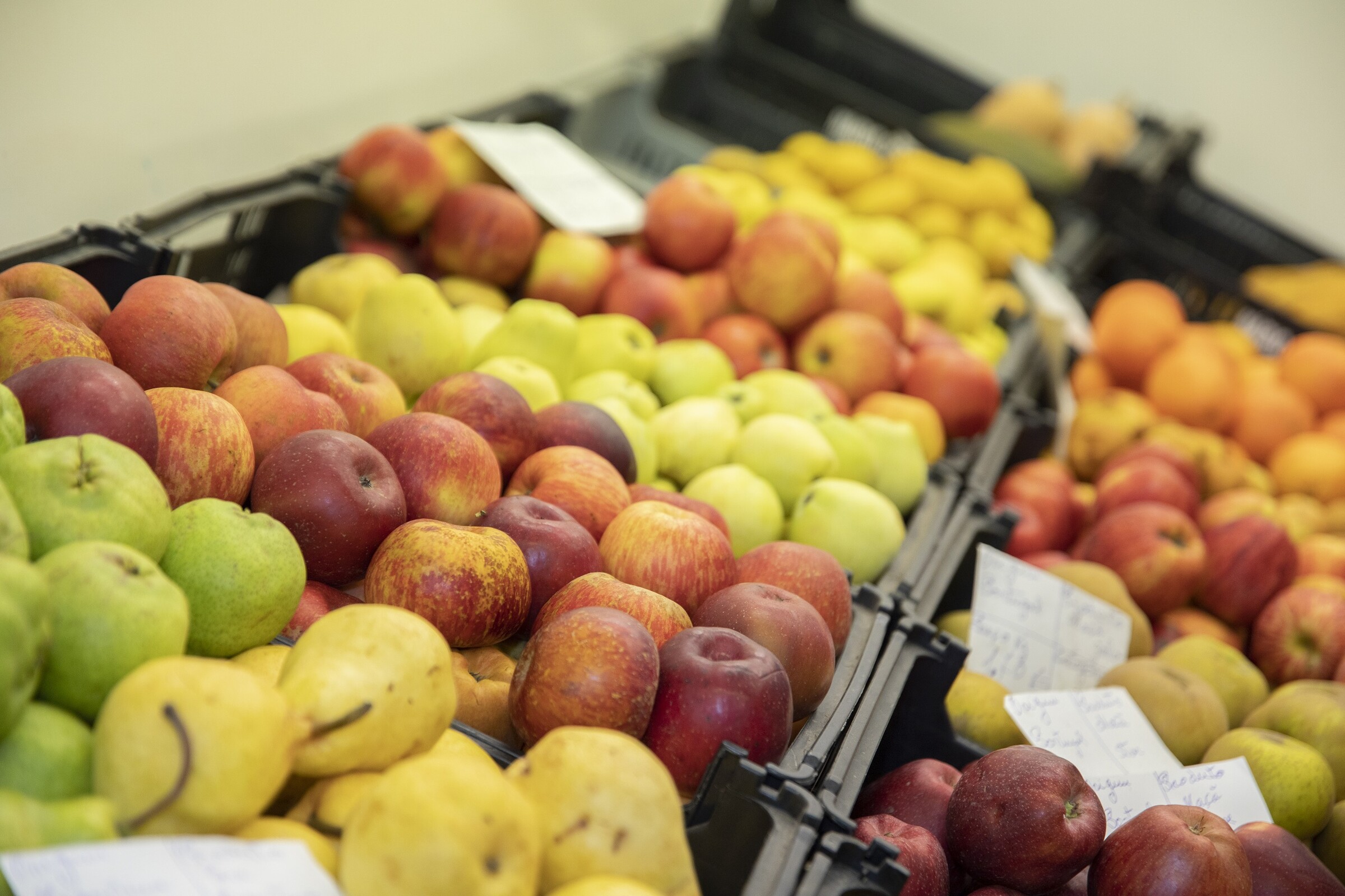 Mercados Municipais abertos nos feriados de junho