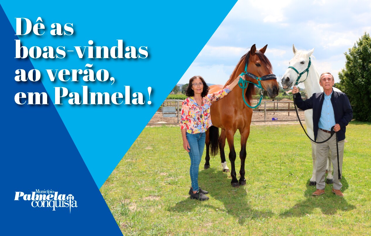 Viva o verão em Palmela - consulte a oferta e visite-nos!