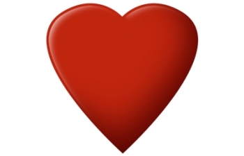 Palmela associa-se às comemorações do Dia Mundial do Coração 2010 
