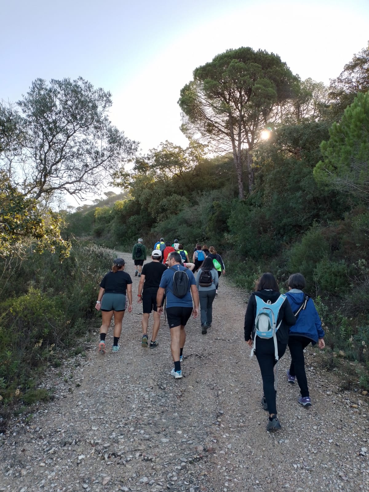 “Mexa-se em Palmela”: em julho e agosto há Caminhadas Desportivas noturnas