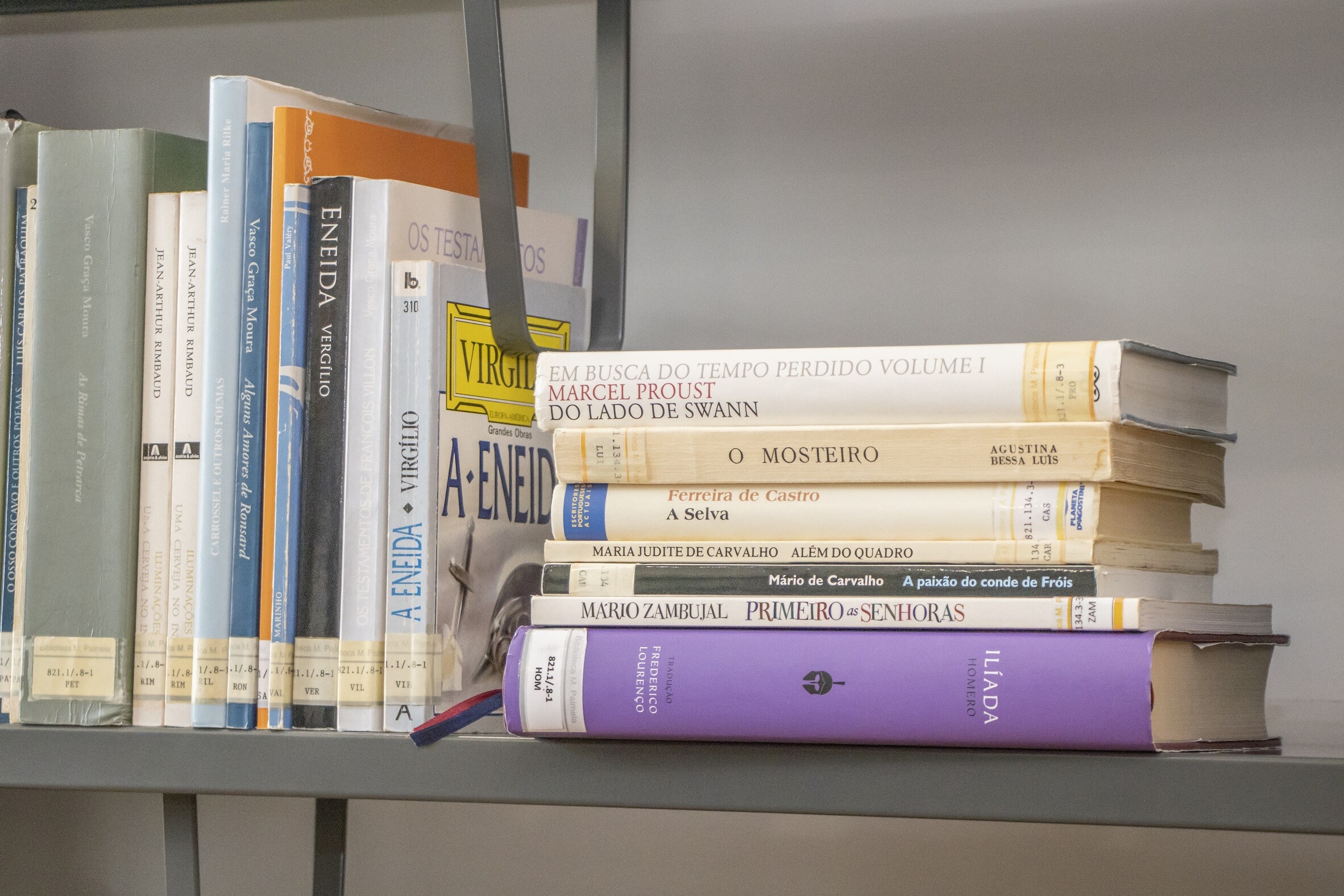 Regulamento de Apoio à Edição: participe até 10 julho