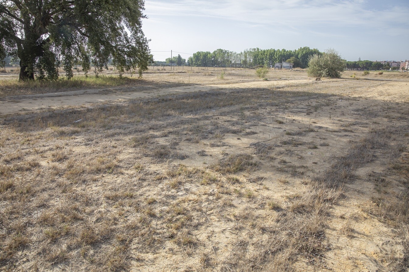 Pista de Atletismo/Pinhal Novo: Estudo prévio para construção adjudicado 