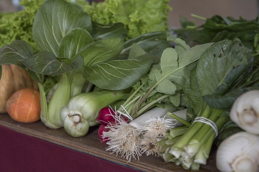 Município apoia atividade da Associação de Agricultores