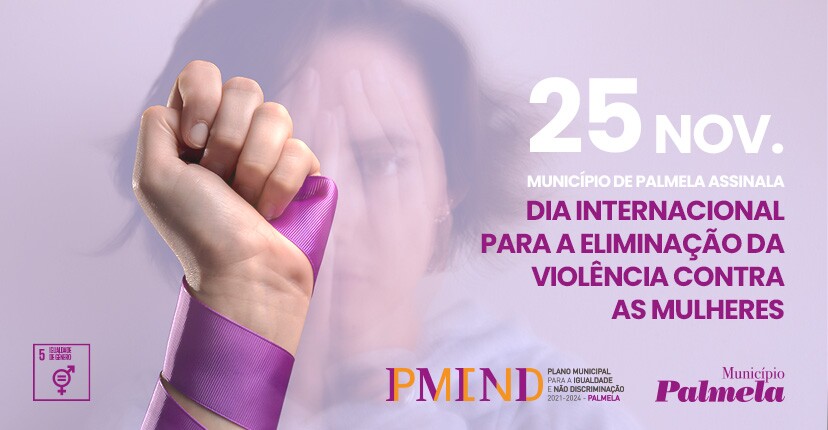 Dia Internacional para a Eliminação da Violência Contra as Mulheres - Não há desculpas! 