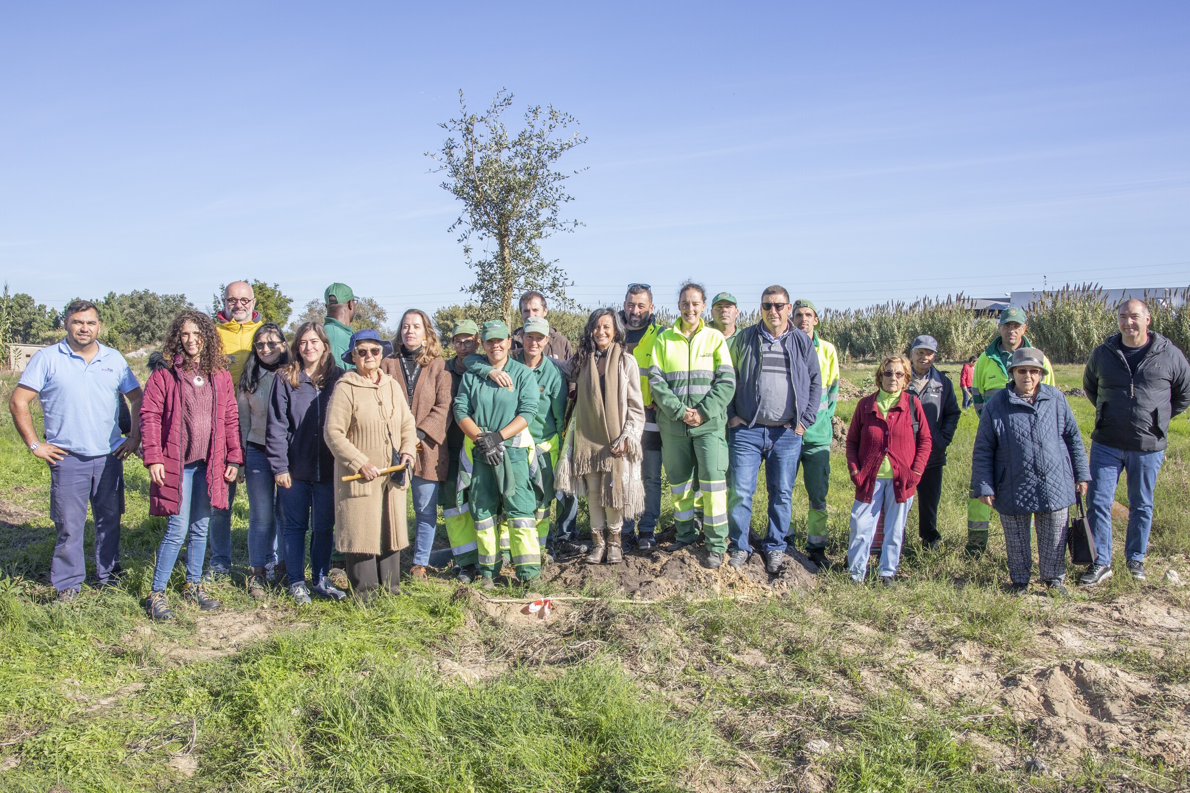 Dia da Floresta Autóctone comemorado com plantações de árvores por todo o concelho